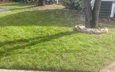 Photo of Alexandra S.'s yard after getting landscaping in Harmony, NC