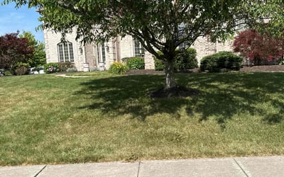Photo of Jim H.'s yard after getting landscaping in Cicero, IN