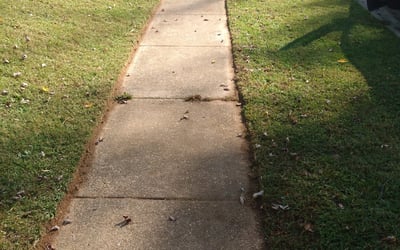 Photo of paul v.'s yard after getting landscaping in Huntingtown, MD