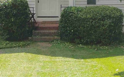 Photo of Tommy Z.'s yard after getting tree care in Hampton, GA