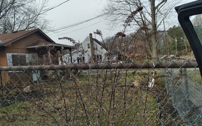 Photo of Pamela U.'s yard after getting landscaping in Sheffield Lake, OH
