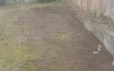Photo of Kathy M.'s yard after getting landscaping in Brownsville, IN