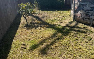 Photo of Erin L.'s yard after getting landscaping in Ripon, CA