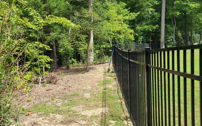 Photo of Michael B.'s yard after getting landscaping in Kenly, NC