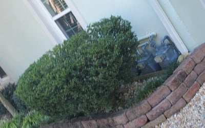Photo of Tracy K.'s yard after getting landscaping in Norge, VA