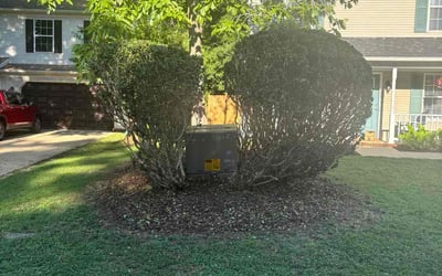 Photo of Kaleb c.'s yard after getting tree care in Poquoson, VA
