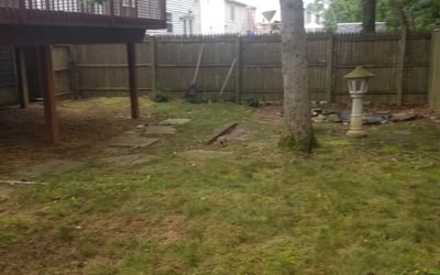Photo of Gil R.'s yard after getting tree care in Montgomery Village, MD