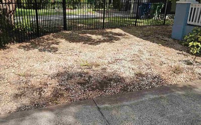 Photo of Precious K.'s yard after getting tree care in Wesley Chapel, FL