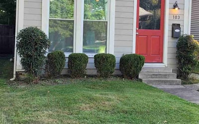 Photo of Angela L.'s yard after getting landscaping in Taylorsville, KY