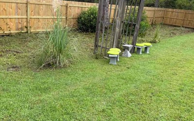 Photo of Michelle G.'s yard after getting tree care in Pensacola, FL