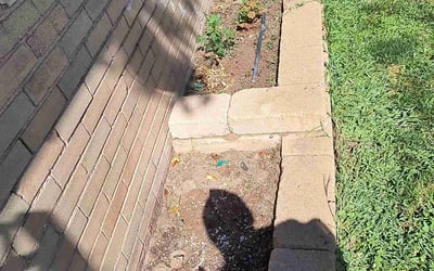 Photo of Taylor L.'s yard after getting landscaping in Como, CO
