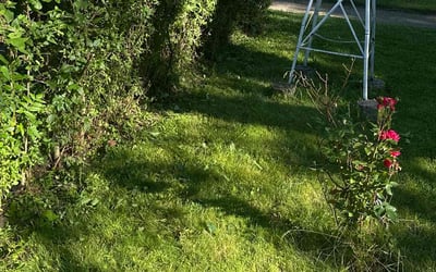 Photo of Denise S.'s yard after getting landscaping in Bloomington, IL