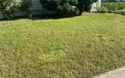 Photo of Tina S.'s yard after getting landscaping in Odenton, MD