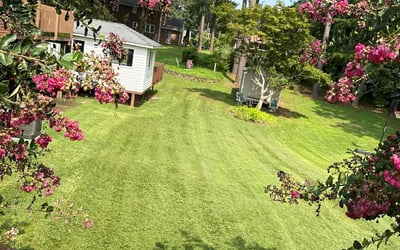 Photo of Roy S.'s yard after getting lawn care in Highland Springs, VA