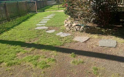 Photo of Chris C.'s yard after getting landscaping in Hillsborough, NC