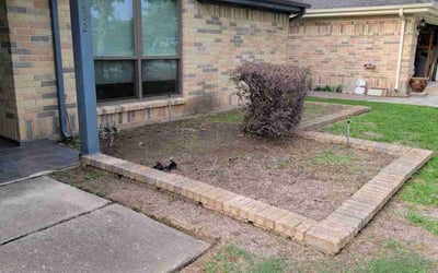 Photo of Robert F.'s yard after getting landscaping in Needville, TX