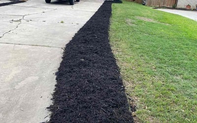 Photo of Michael B.'s yard after getting landscaping in Adkins, TX