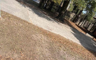 Photo of Chris M.'s yard after getting landscaping in Jay, FL