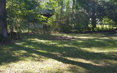 Photo of Sam M.'s yard after getting landscaping in Bonneau, SC