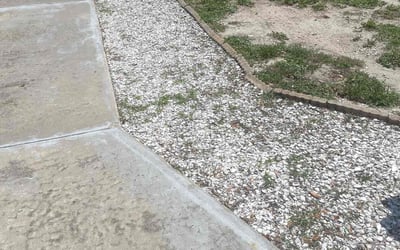 Photo of Susan A.'s yard after getting landscaping in Seminole, FL