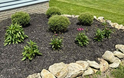 Photo of Steve B.'s yard after getting landscaping in Olmsted Falls, OH