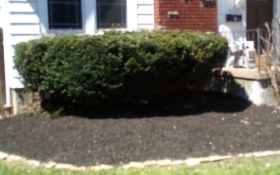 Photo of Sherri D.'s yard after getting tree care in Trenton, OH