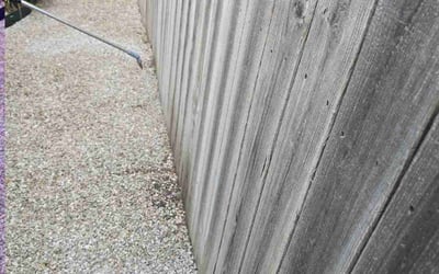 Photo of Sharon S.'s yard after getting landscaping in San Antonio, TX