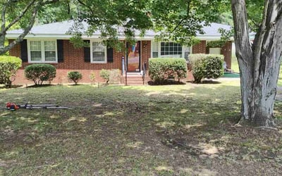 Photo of Jack B.'s yard after getting tree care in Smithfield, NC