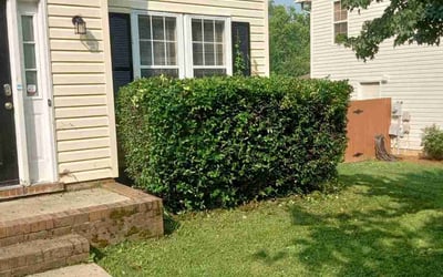 Photo of Courtney B.'s yard after getting landscaping in Kershaw, SC