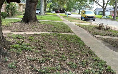 Photo of Jon M.'s yard after getting landscaping in Splendora, TX