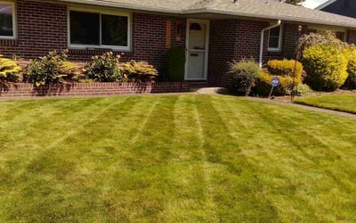 Photo of Richard V.'s yard after getting lawn care in Everett, WA