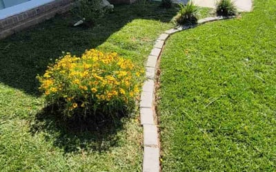 Photo of Justin S.'s yard after getting landscaping in Mc David, FL