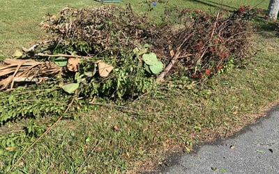 Photo of Barry C.'s yard after getting landscaping in Scottsmoor, FL