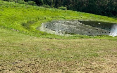 Photo of Joshua L.'s yard after getting landscaping in Green Cove Springs, FL