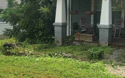 Photo of Michael R.'s yard after getting tree care in Knoxville, TN