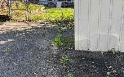 Photo of Henrietta R. O.'s yard after getting tree care in Warminster, PA