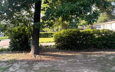 Photo of Dave B.'s yard after getting landscaping in Fayetteville, NC