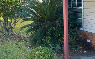 Photo of Nicholas H.'s yard after getting landscaping in Chattahoochee, FL