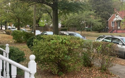 Photo of Sarah M.'s yard after getting landscaping in Issue, MD