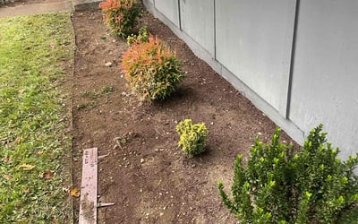 Photo of Kevin B.'s yard after getting landscaping in Fall City, WA