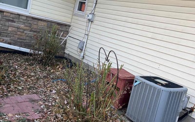 Photo of Ryan M.'s yard after getting tree care in Monticello, MN