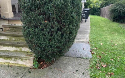 Photo of Jennifer C.'s yard after getting landscaping in Sheffield Lake, OH