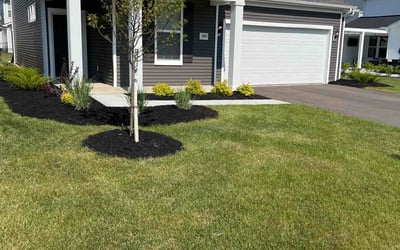 Photo of Michelle W.'s yard after getting landscaping in Raymond, OH