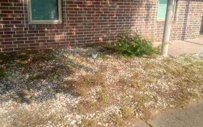 Photo of Chris W.'s yard after getting landscaping in North Little Rock, AR