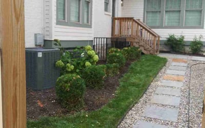 Photo of Dan M.'s yard after getting landscaping in Woodbury, TN
