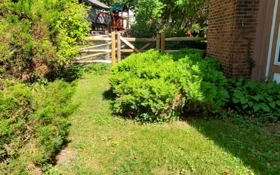 Photo of Ruth J.'s yard after getting landscaping in Swanton, OH