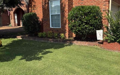 Photo of Ken S.'s yard after getting landscaping in Collierville, TN