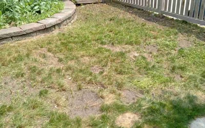 Photo of Jeff B.'s yard after getting landscaping in Milaca, MN