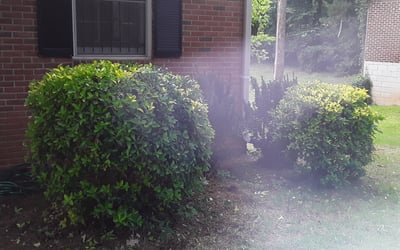 Photo of William R.'s yard after getting landscaping in Sunny Side, GA