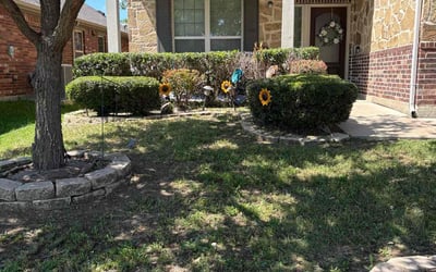 Photo of Paul B.'s yard after getting landscaping in Keller, TX